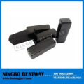 Industry Black Epoxy Permanent Neodymium Magnet